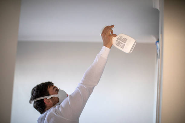 Best Home Mold Removal  in Mont Clare, PA