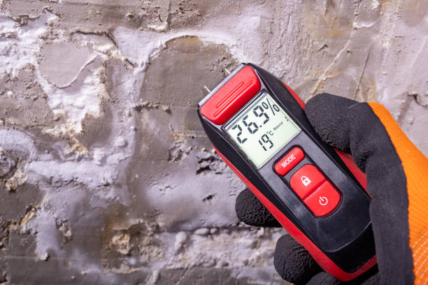 Best Mold Damage Repair  in Mont Clare, PA