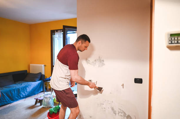 Best Crawl Space Mold Removal  in Mont Clare, PA